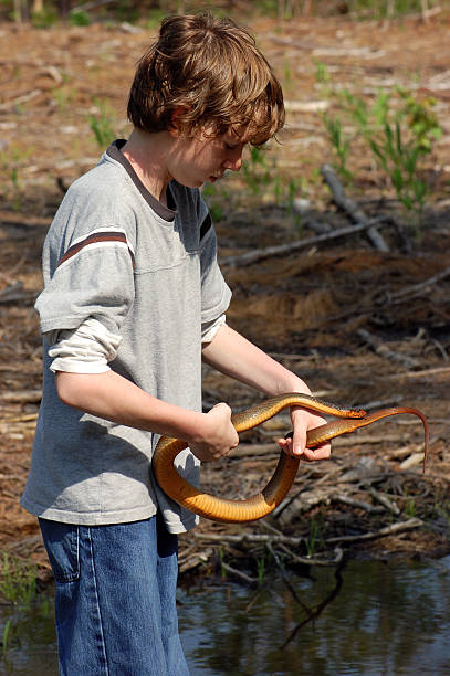 Snake Handling Assistant in the Field