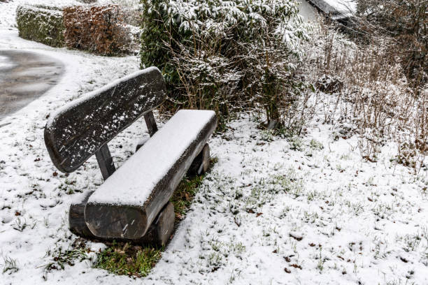 istock The benches covered with snow 1729586648