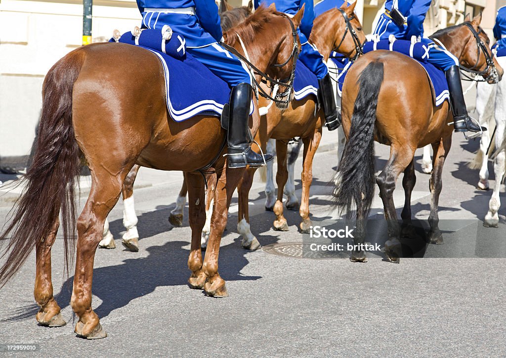 Garde-montée - Photo de Bleu libre de droits