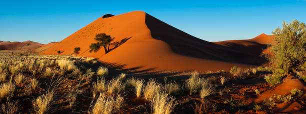 istock Sand Dune in Sossusvlei - Namib Desert - Namibia 1729590442