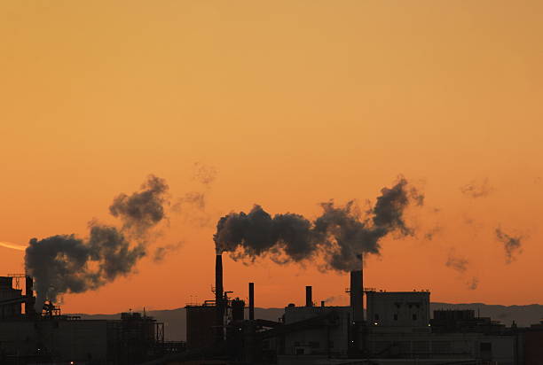 Factory smokestacks emit smoky pollution silhouetted against an orange sunset sky.  Port Angeles, Washington, 2008.