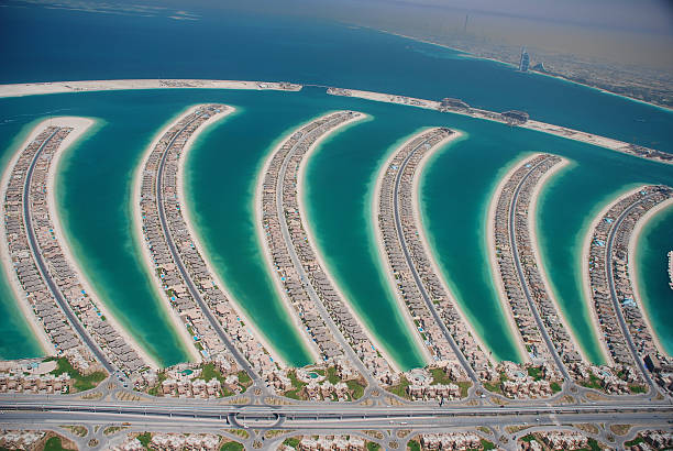 Palm Jumeira Fronds