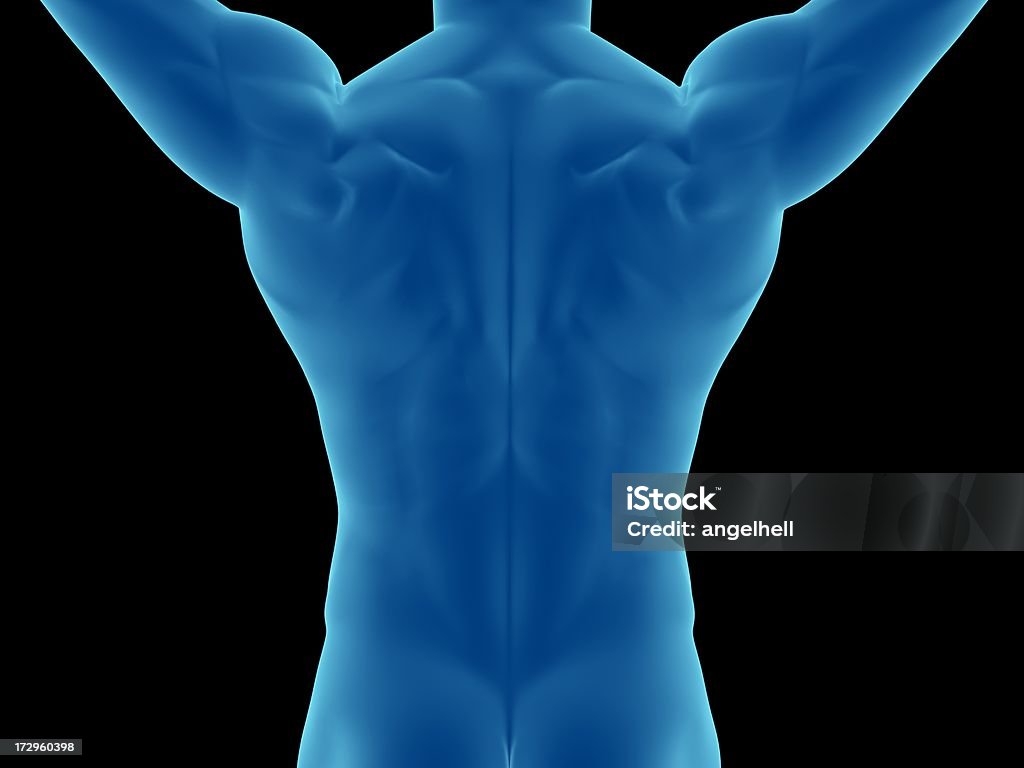 Muscolare posteriore di un uomo con le braccia sopra la testa - Foto stock royalty-free di Adulto