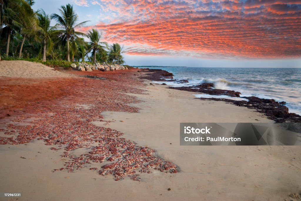 El norte de la playa australiana - Foto de stock de Playa libre de derechos