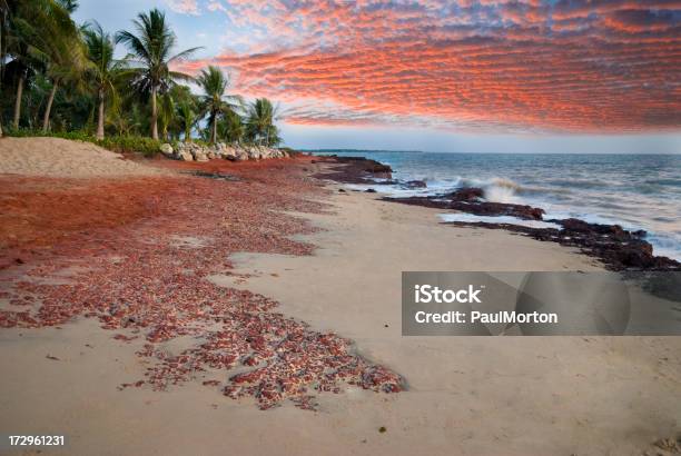 El Norte De La Playa Australiana Foto de stock y más banco de imágenes de Playa - Playa, Territorio del Norte, Agua