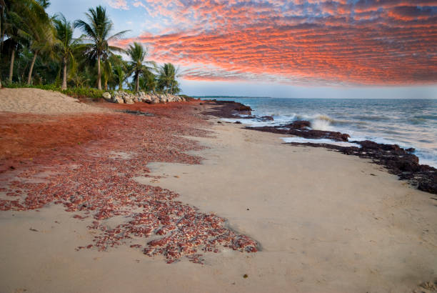Dundee Beach, Northern Territory, Australia.  Nikon D80 with Nikkor 18-200mm lens