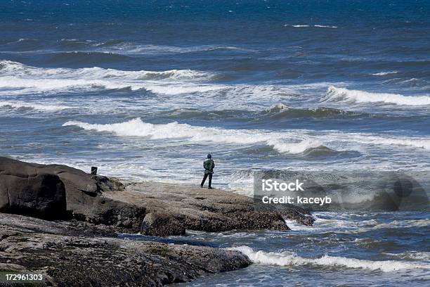 Photo libre de droit de Pêcheur banque d'images et plus d'images libres de droit de Pêche au lancer en bord de mer - Pêche au lancer en bord de mer, Roc, Algue