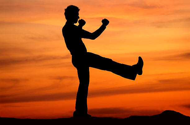 istock Male silhouette practicing martial arts 172961478