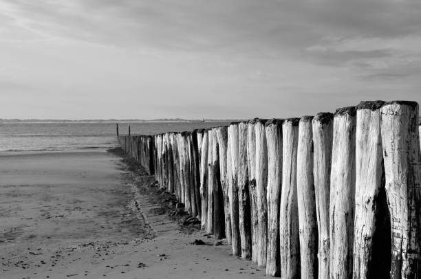 istock Beach defences in Breskens, Holland 172961833