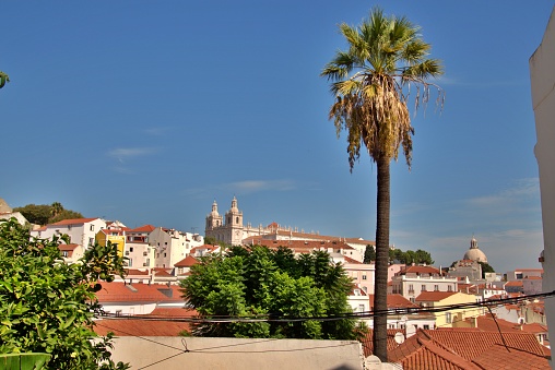 Panoramic view on buildings, roofs and palm tree in Lisbon, Portugal. Alfama