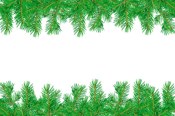 istock Christmas fir branches. 1729622105