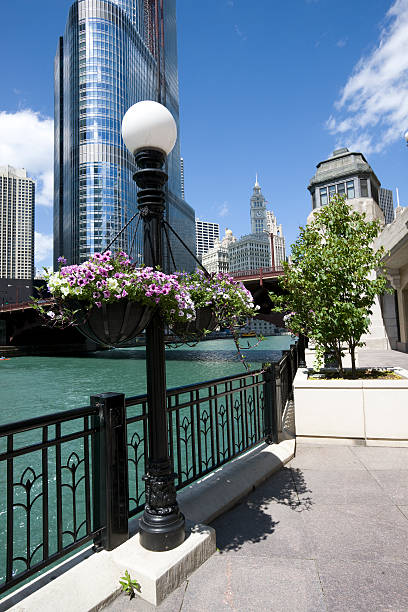istock Chicago Riverwalk with Lamp and Flowers 172962391