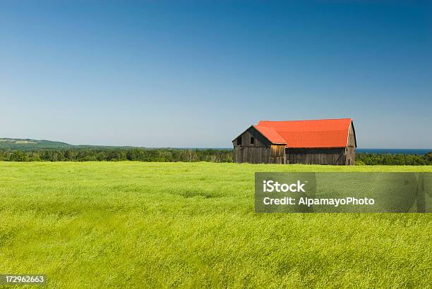 Barn En De Colza Canola Fieldiv Foto de stock y más banco de imágenes de Agricultura - Agricultura, Aire libre, Ajardinado