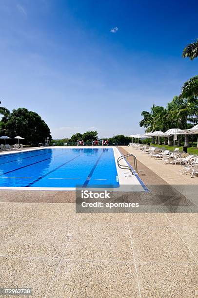 Photo libre de droit de La Piscine banque d'images et plus d'images libres de droit de Bleu - Bleu, Caraïbes, Chaise