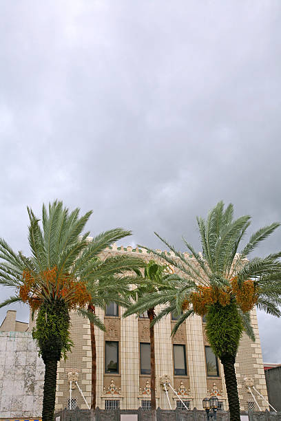istock Commercial Building Framed With Palm Trees 172962860