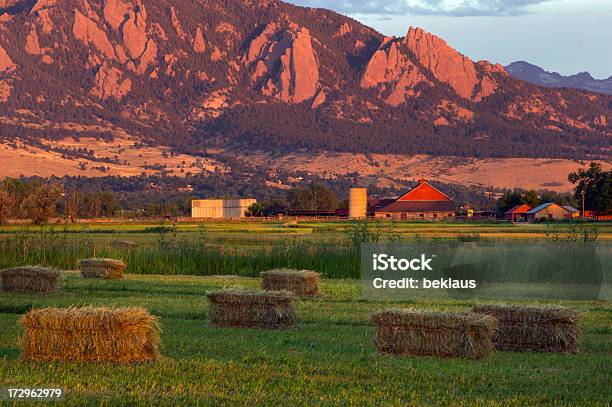 Boulder Barn - Fotografie stock e altre immagini di Agricoltura - Agricoltura, Ambientazione esterna, Ambiente