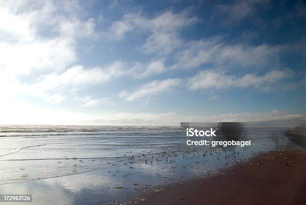 해변 푸른 하늘 워싱턴 주 쇼어 0명에 대한 스톡 사진 및 기타 이미지 - 0명, 경관, 관광
