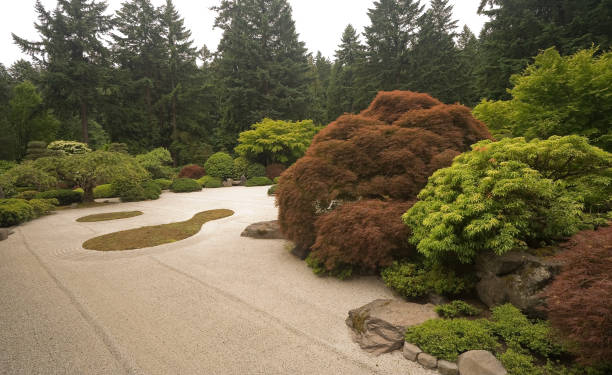 istock Japanese garden 172963575