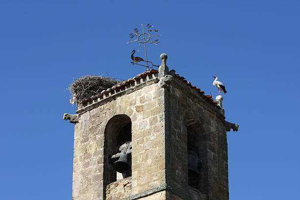 istock faked and real stork 172963788
