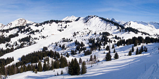 альпийские лыжные трассы - mont blanc ski slope european alps mountain range стоковые фото и изображения