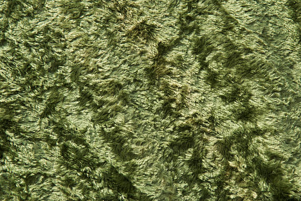 Grassy Green Fabric Full Frame Plush green fabric background looks like a meadow of shiny grass shag rug stock pictures, royalty-free photos & images