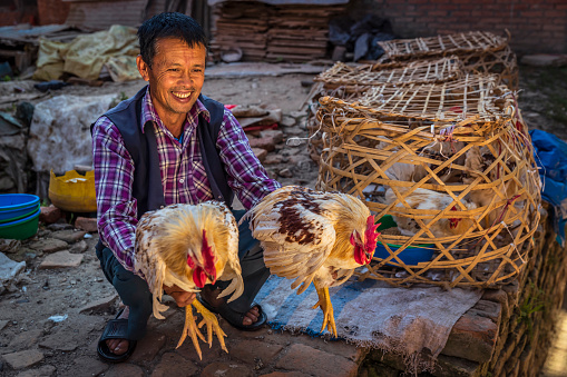Nepali man selling chickens near Durbar Square in Bhaktapur, Nepal. Bhaktapur is an ancient town in the Kathmandu Valley and is listed as a World Heritage Site by UNESCO for its rich culture, temples, and wood, metal and stone artwork.