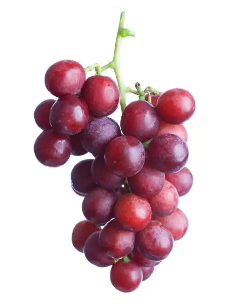 Photo of red grapes