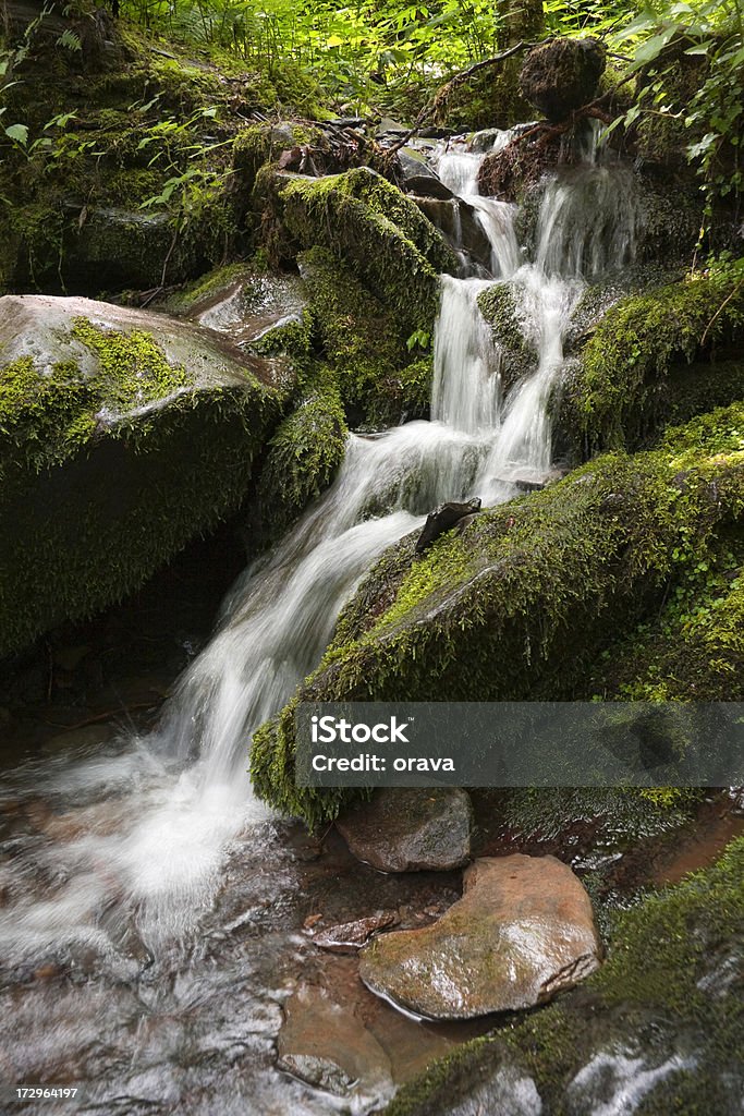 Creek- Cascata nel Parco Nazionale Great Smoky Mountains - Foto stock royalty-free di Acqua