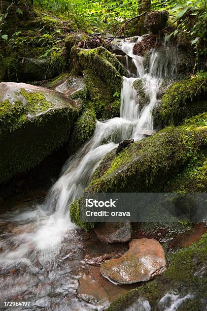 Creek Cascata Nel Parco Nazionale Great Smoky Mountains - Fotografie stock e altre immagini di Acqua