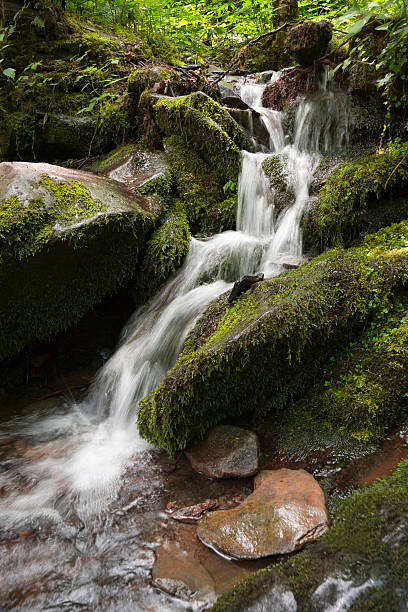 istock Creek- Waterfall in Great Smoky Mountains National Park 172964197