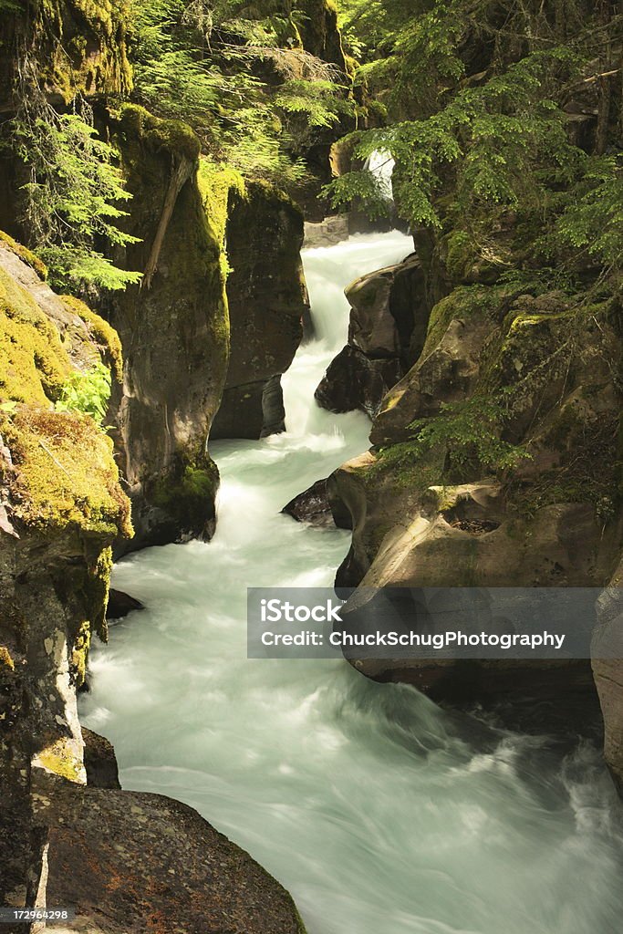 Cascata de um desfiladeiro cobertos de musgos do Glacier National Park. - Foto de stock de Afloramento royalty-free