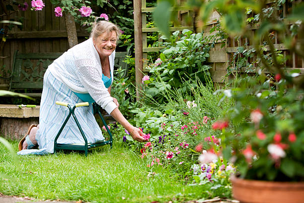 retirement: time for gardening stock photo