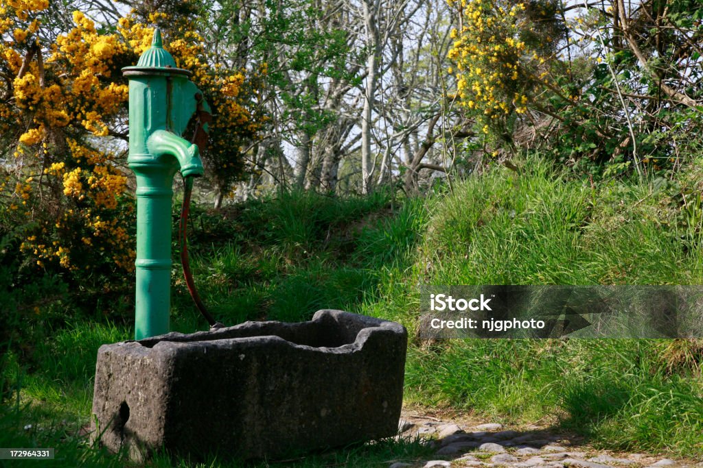 Serie de Irlanda - Foto de stock de Castillo - Estructura de edificio libre de derechos