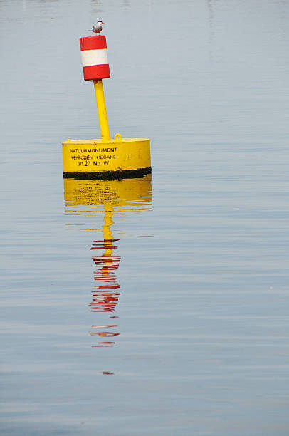 Common tern on buoy Common tern sitting on a buoy indicating a protected nature area. Fixed Beacon Buoys stock pictures, royalty-free photos & images