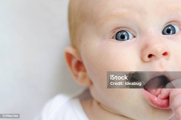 Cara De Bebé Foto de stock y más banco de imágenes de Poner un dedo en la boca - Poner un dedo en la boca, 0-11 meses, 2-5 meses