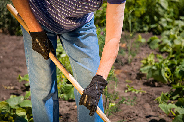 istock Senior hoing in the garden 172964763