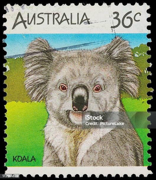 Australia Koala Znaczek Pocztowy - zdjęcia stockowe i więcej obrazów Australia - Australia, Bliskie zbliżenie, Czarne tło