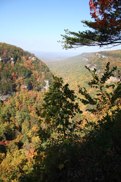 istock Cloudland Canyon State Page Georgia in Fall Colors 172965238