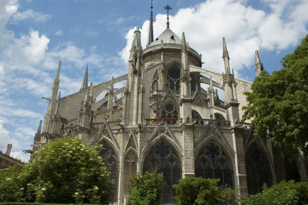 아미앵 캐서드럴 - rose window ile de la cite paris france notre dame 뉴스 사진 이미지