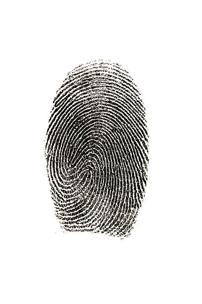 istock Fingerprint photographed on white background. 172965419