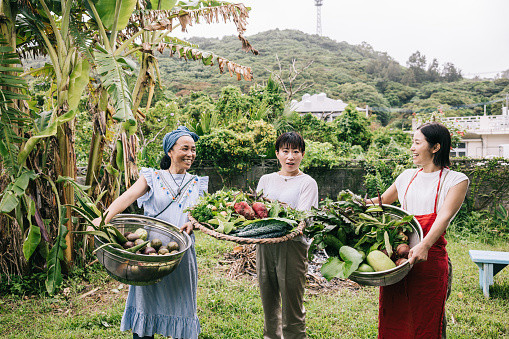 Three Japanese women with a smile on their face, holding a basket overflowing with an array of colorful, just-picked vegetables from their flourishing garden.

Moui: モーウィ (赤毛瓜)
Chinese cucumber
red gourd
yellow cucumber
OOITABI NO MI
passion fruit
