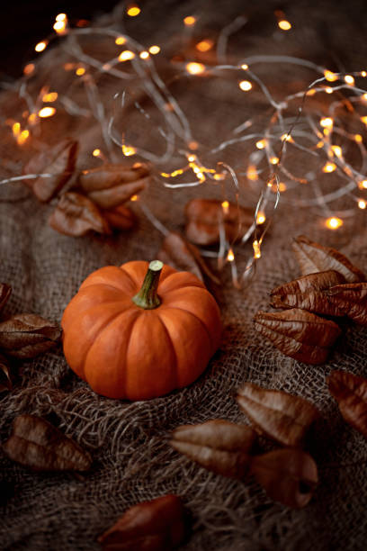 istock Autumn vintage background composition with little pumpkin. 1729656272