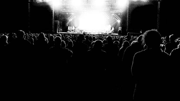 Crowd at a music concert Crowd at a music concert concert hall photos stock pictures, royalty-free photos & images