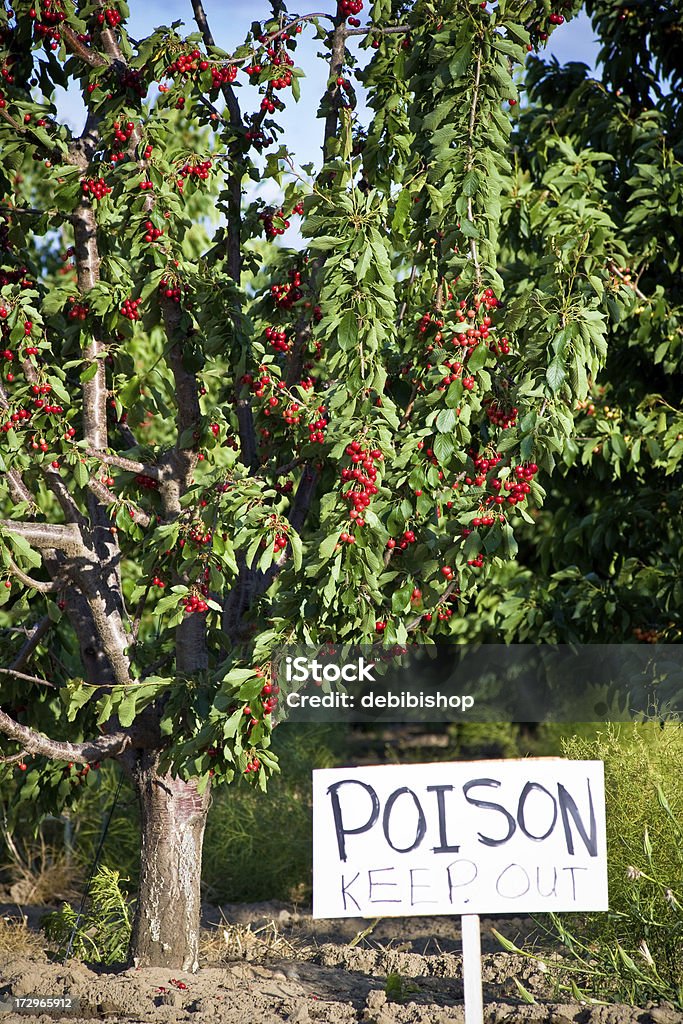 Poison-Warnschild in Cherry Orchard - Lizenzfrei Baum Stock-Foto