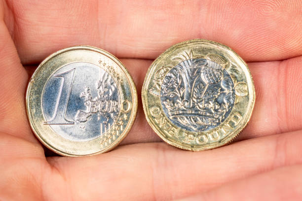 1ユーロ硬貨と1ポンド硬貨の比較 - one pound coin coin currency british culture ストックフォトと画像