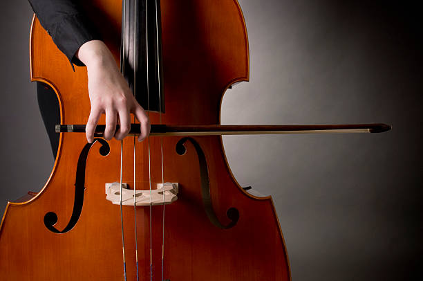 istock Music Bass Symmetry 172966122