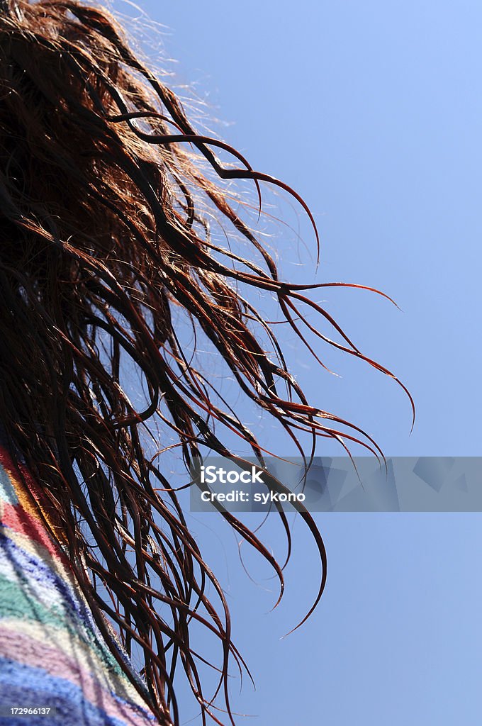 Mulher com cabelo ao vento - Royalty-free Laca de Cabelo Foto de stock