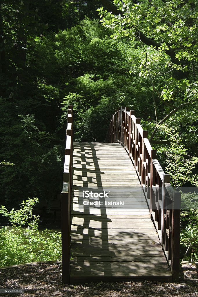 Puente peatonal vacío - Foto de stock de Ajardinado libre de derechos