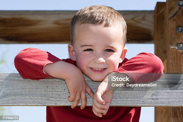 소년만 2-3 살에 대한 스톡 사진 및 기타 이미지 - 2-3 살, 갈색 눈, 갈색 머리