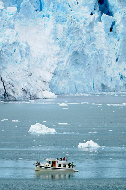 istock Small boat in Glacier bay. 172966738